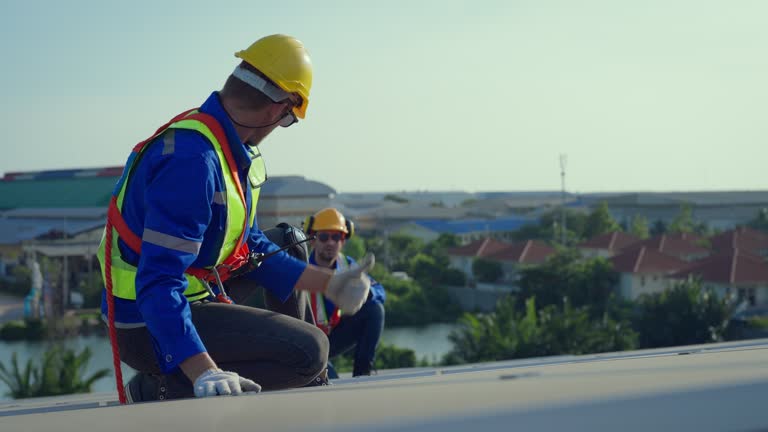 Best Sheet Metal Roofing  in Shelbina, MO