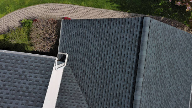 Best Roof Leak Repair  in Shelbina, MO