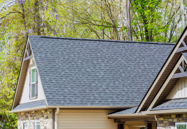 Best Roof Insulation Installation  in Shelbina, MO